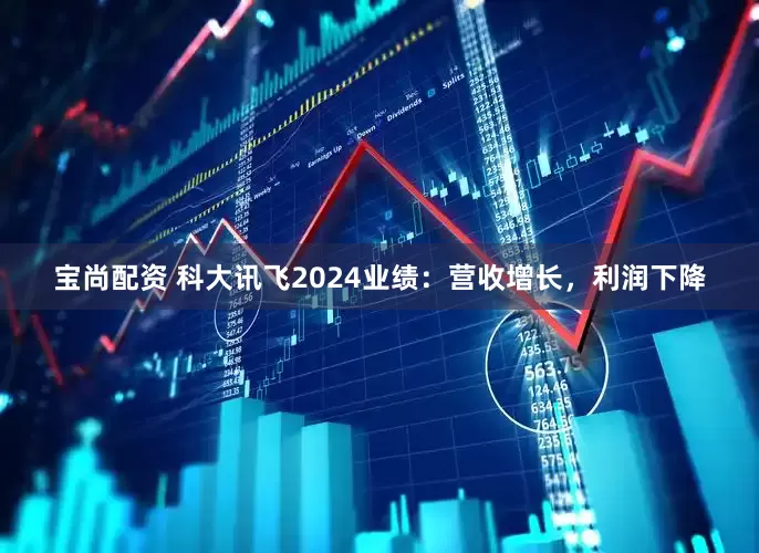 宝尚配资 科大讯飞2024业绩：营收增长，利润下降