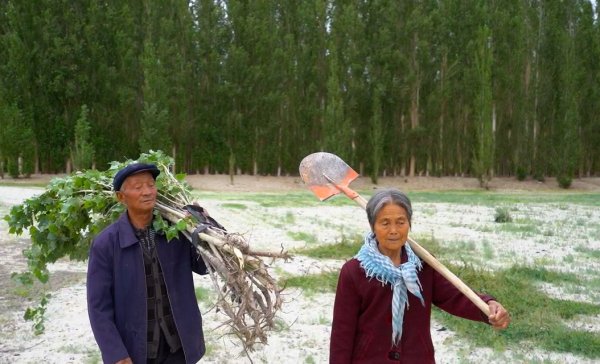 淘配网配资 “风沙天别人往家跑, 我们往地里冲”