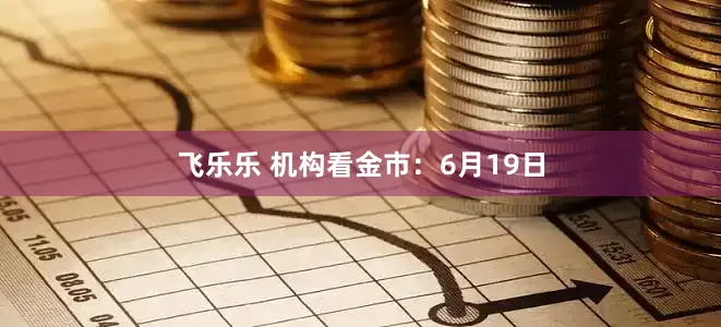 飞乐乐 机构看金市：6月19日