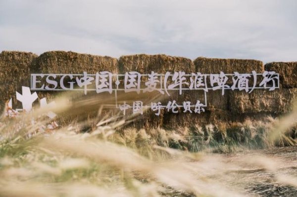 好牛 “国麦振兴”正从产业升级向文旅融合拓展