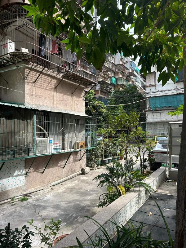 致富配资 越来越多有钱人偷偷收购“步梯房”？内行说出实情，让我恍然大悟