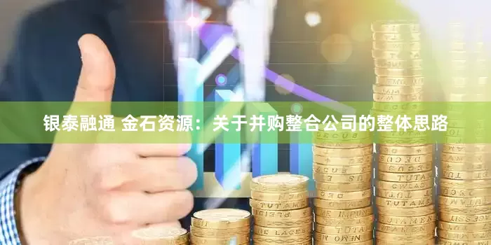 银泰融通 金石资源：关于并购整合公司的整体思路
